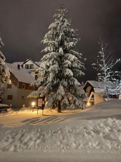 Apartman Safir - Zlatibor - 3