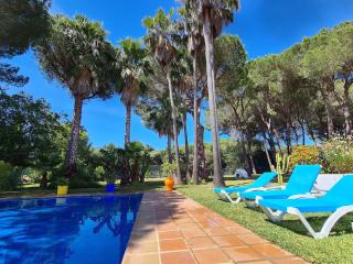 Villa Serena - Casa rural en Arcos con piscina, barbacoa, chimenea - Arcos de la Frontera - 1