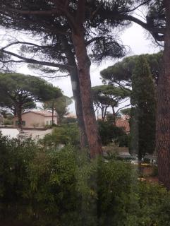 Nartelle 26 - Sainte-Maxime - 4