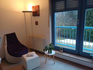 FeWo Oberhof - Tiefgarage und Parkplatz inklusive - Oberhof - 4