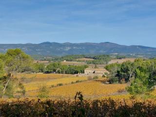 House on winery - Azille - 0