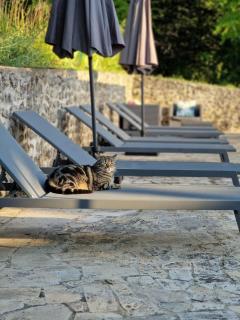 Le relais des clefs -Piscine chauffée, pétanque - 8pers - 5