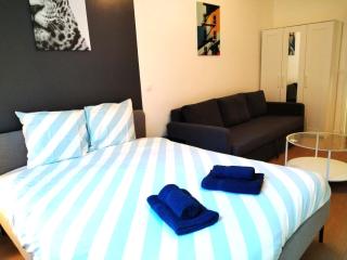 Vierzon Centre - joli T2- balnéo- wifi - Vierzon - 7