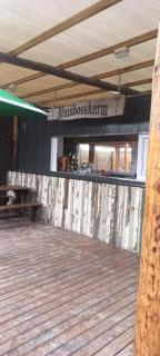 Meeulekker op Lambertsbay - Lambertʼs Bay - 8