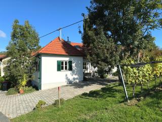 Kellerstöckl - Zur Weinrebe - Eisenberg an der Pinka - 9