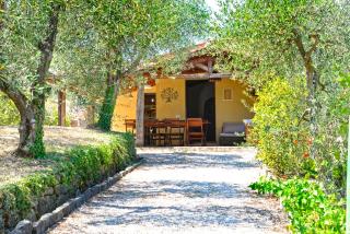 Fonte Pace Luxury Villa - a Fontanaro Property - Paciano - 4