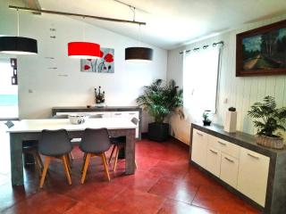Chtx maison 7 pers jardin piscine - Châteauroux - 1