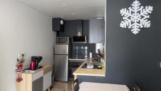 Appartement 3 étoiles, meublé, 45m2, station, fibre, Netflix, Disney plus, garage - Laveissière - 1
