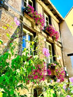 Le Logis Plantagenêt - 5