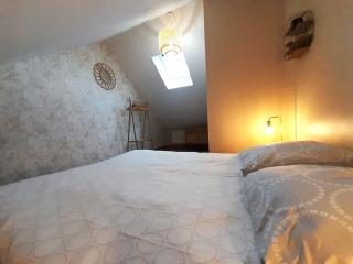 Châteauroux L’O'thentik' Duplex 7 pers - Châteauroux - 1