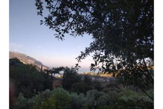Boutique Stone Cottage House - Panormos Kalymnos - 9