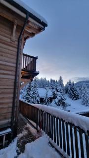 Luxueux chalet avec terrasse Auron - 3