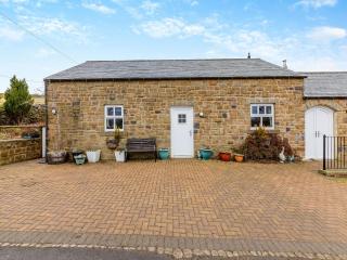 Nellys Cottage - Lanehead - 0
