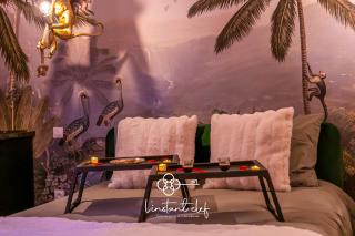Love au Mans - Sauna et Jacuzzi inclus - Le Mans - 4