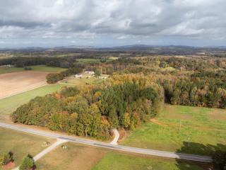 Pine Cone Cottage - Hamptonville - 6