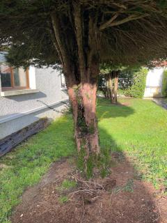 Appartement Lumières - Pontault-Combault - 5