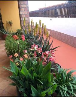 Villette SteVi Lampedusa - 8