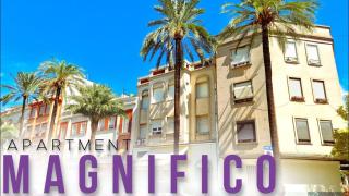 Magnifico Gandia - Gandía - 0