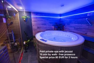 Sauna studio near centre/airport - Praga - 3