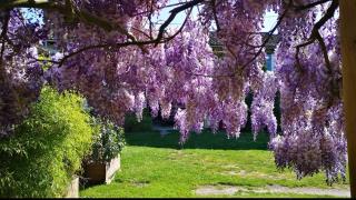 la Ferme du Grand Bois - Mouterre-Silly - 5