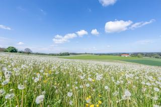 City Apartment - Bayreuth - 1