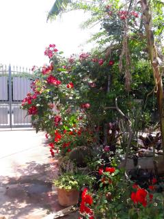 Il Roseto Di Betty e Salvo - Palermo - 3