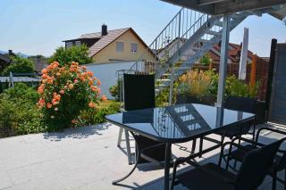 Blauer Seestern - Allensbach - 1