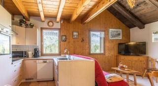 Pervenche - Residence Le Visigny - Morillon - 3