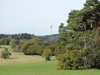 Ferienwohnungen Kätzlehaus - Meßstetten - 1
