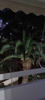 Spiros cozy place - Saronida - 2
