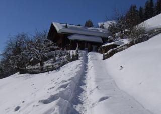 Paradise View - 5 BR Gstaad Paradise View Chalet with Outdoor Jacuzzi - 8
