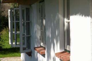 Kate unter Reet im Grünen - 2