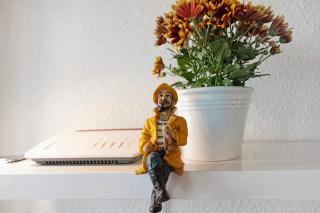 Fördetraum,erste Reihe,Strand 20 m - Laboe - 5