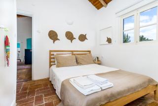 Charming house in the countryside - São Bartolomeu - 5
