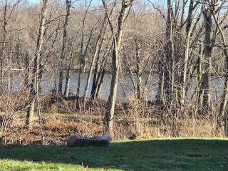 Trout Creek Cottage - Bristol - 3