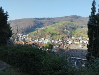 Das Tor zum Odenwald - Unterflockenbach - 9
