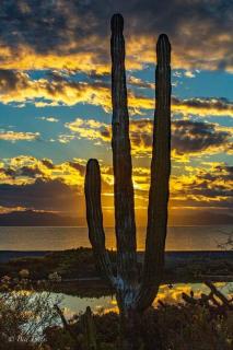 CASA DE ALOHA cozy 2-bedroom, 2 bathrooms Home - 2