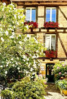 Le Logis Plantagenêt - 6