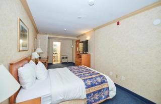 Hotel Glace Near International Airport New Delhi - New Delhi - 2