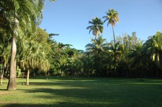 Insolite Ara Wakan / Ma cabane - 6