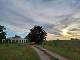 San Ignacio cattle farm Magdalena Buenos Aires -  - 0