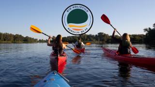 Rio Holístico cuádruple Agua - 1