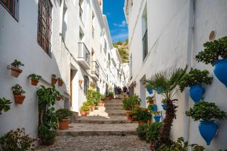 Cortijo Dos Pinos - Frigiliana - 3