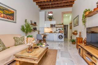 Wehostcostaluz Le Petit Palace Catedral con parking gratuito - Jerez de la Frontera - 1