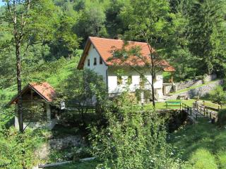 House Dolenja Trebuša - Dolenja Trebuša - 8