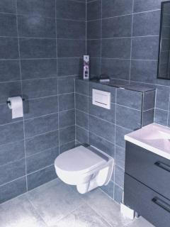 Studio apartment 2 - Nové Město na Moravě - 7