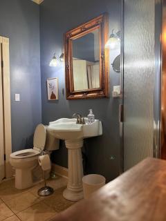 Beautiful Home in Historic Savannah 3Bed 3Bath - Savannah - 7
