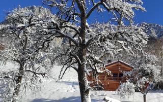 Chalet savoyard écoresponsable, quasiment neuf 8 pers - - 8