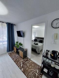 Furnished apartment in the heart of the historic center - Santiago - 8