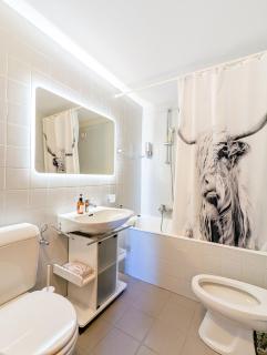 Center of Nendaz ! Apartment 3 rooms with balcony - Nendaz - 1